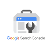 SEARCH CONSOLE